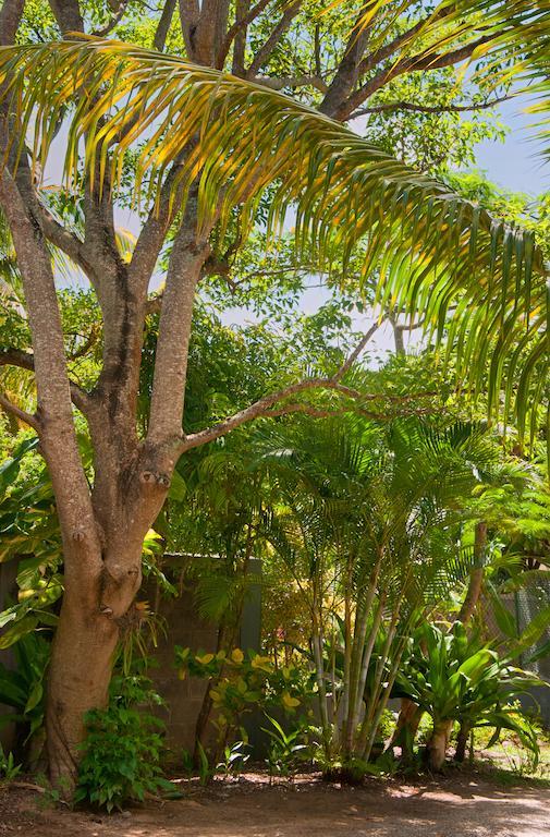 Gardens Retreat Villa Pereybere Beach Exterior photo